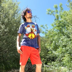 Camiseta Paz y Amor