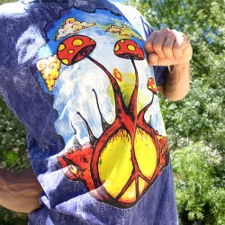Camiseta Paz y Amor