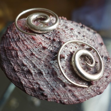 Pendientes espiral sencilla